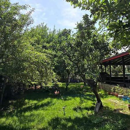 Homestay La Mama Miha